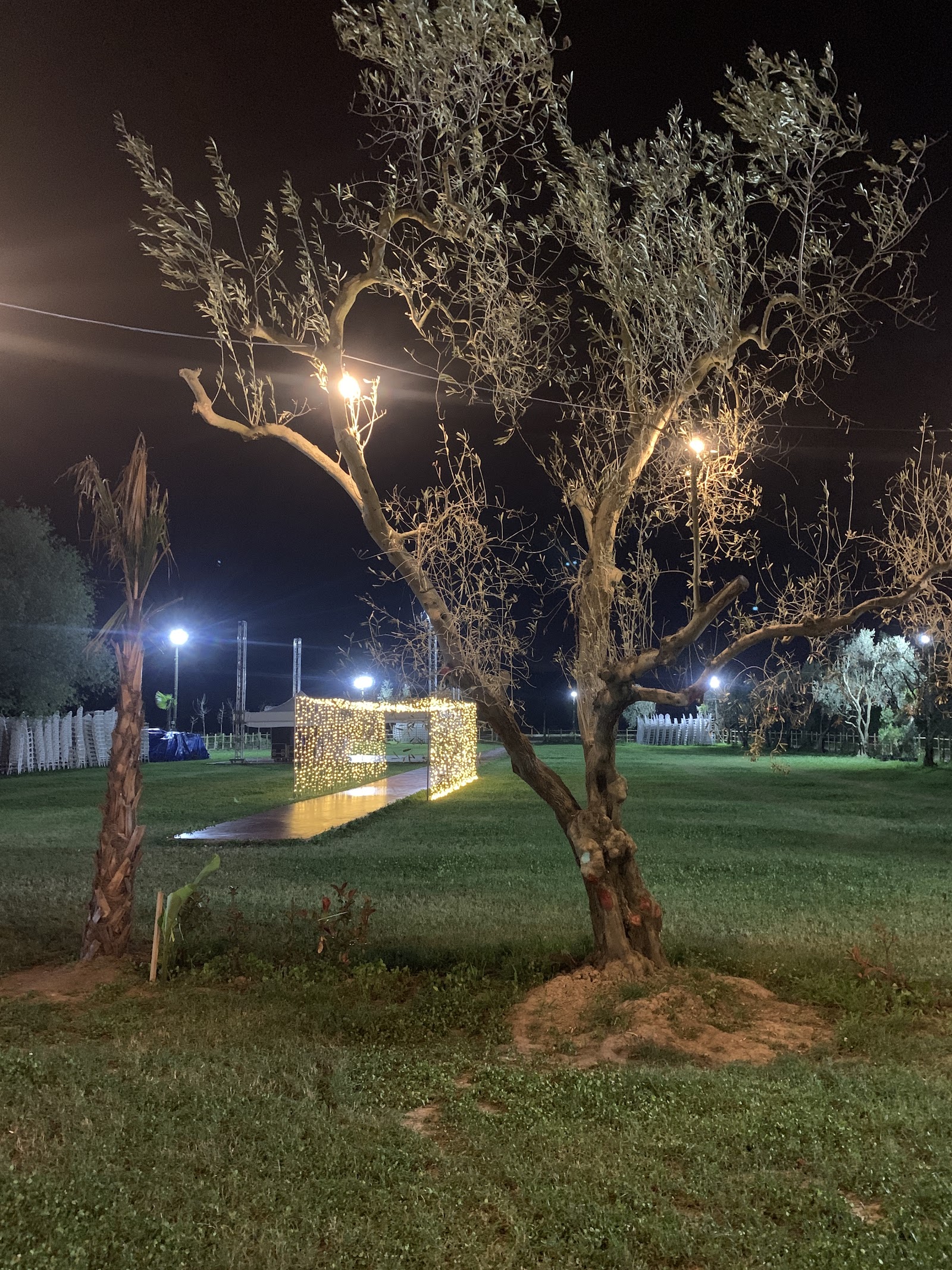 Amra Garden — Bolu kır düğünü mekanı görsel 1