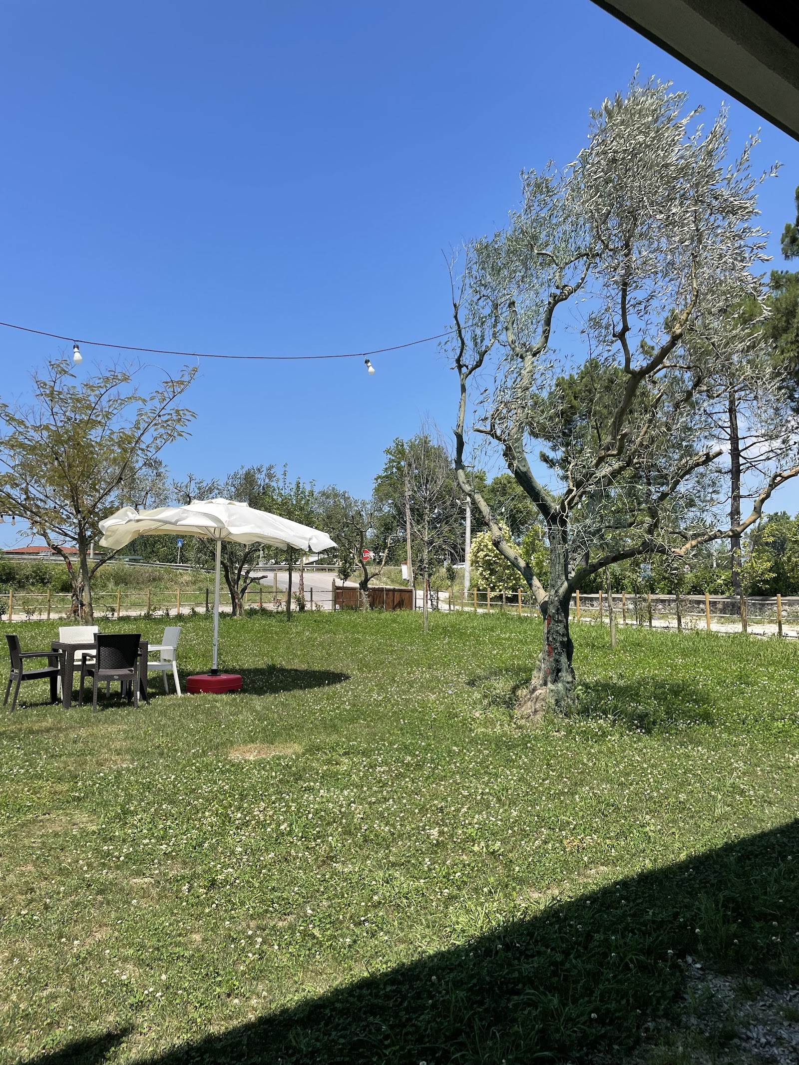 Amra Garden — Bolu kır düğünü mekanı görsel 4