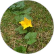 amirosahar profil fotoğrafı