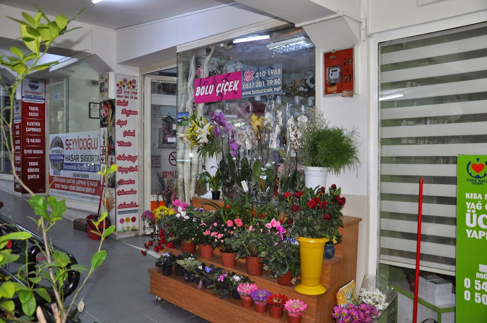 Bolu Çiçek Çikolata kır düğünü mekanı — Merkez