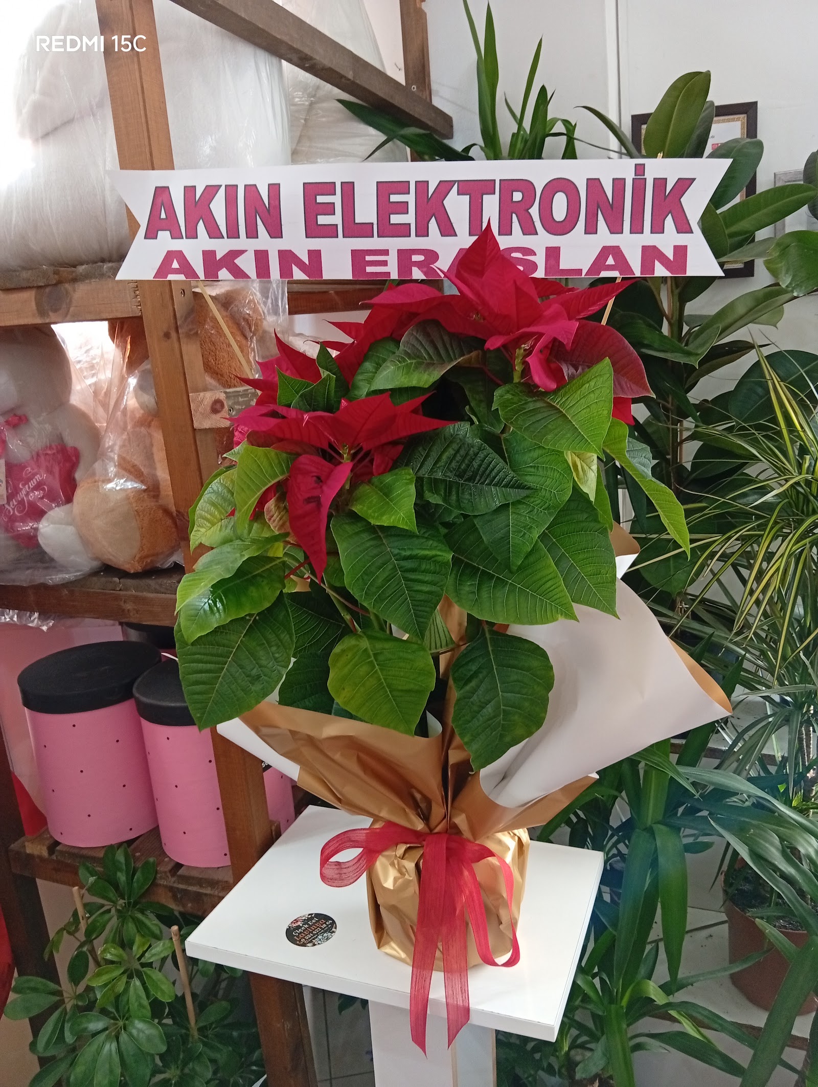 Lavinya Çiçek Evi