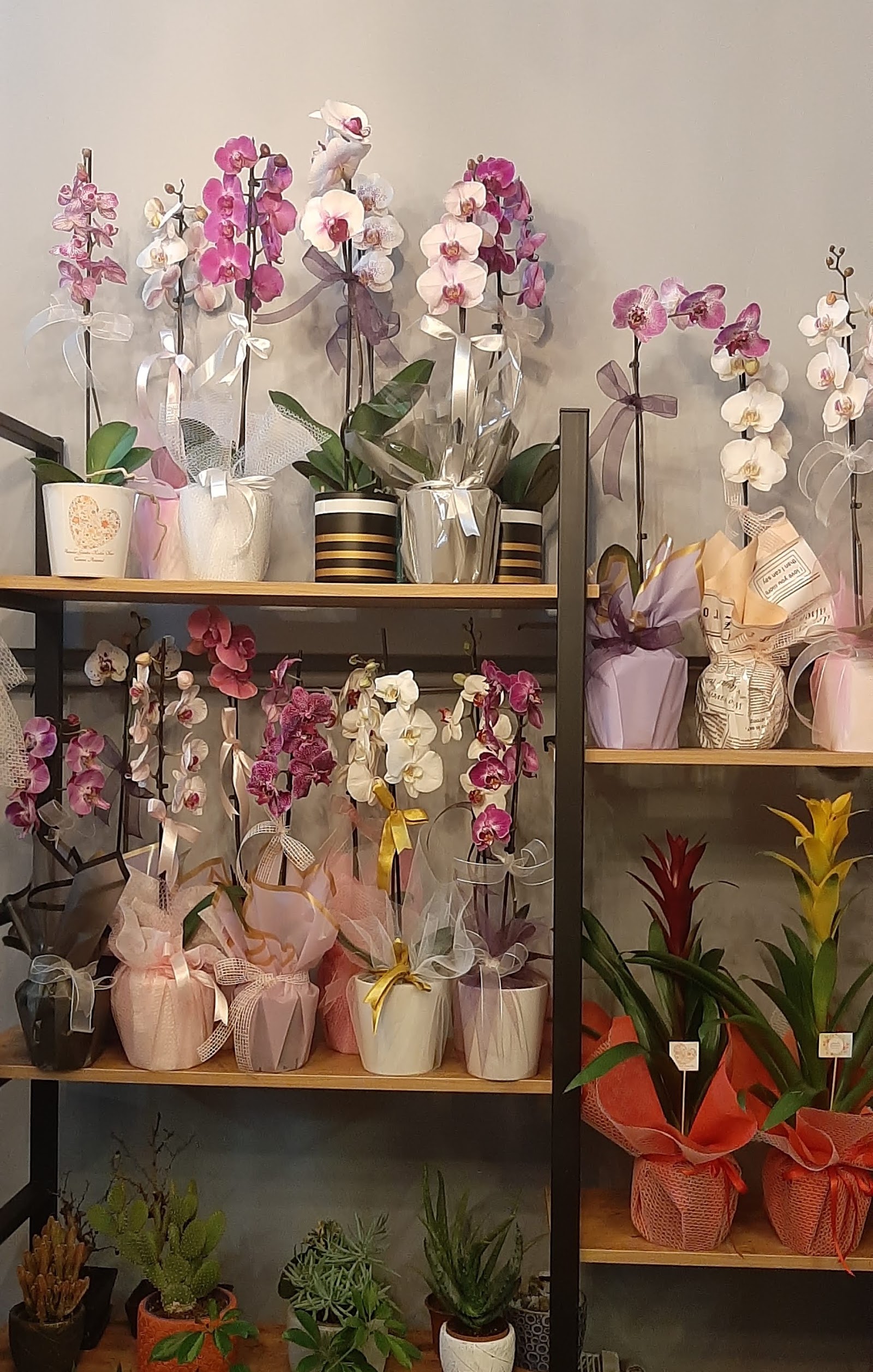 Lotus Çiçekçilik