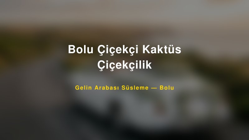 Bolu Çiçekçi Kaktüs Çiçekçilik — Bolu Kır Düğünü Mekanı Rehberi