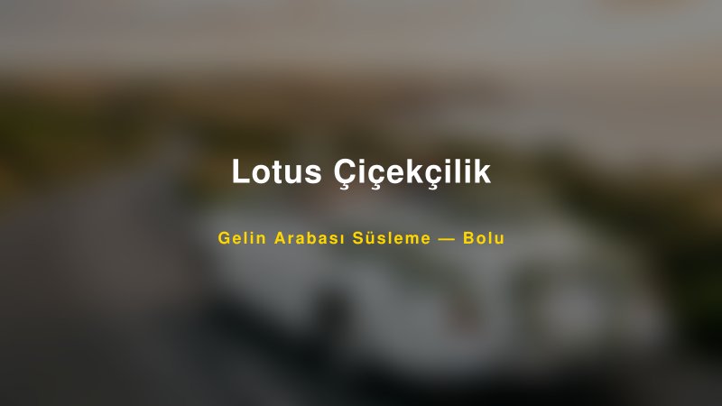 Lotus Çiçekçilik Gelin Arabası Süsleme Fiyatları — 1